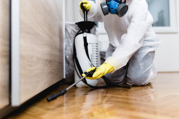 Best Best Pest Control Companies  in Mount Hore, WI